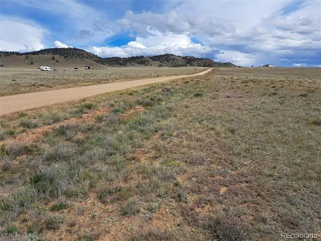 1294 Clear Creek Road Hartsel, CO 80449