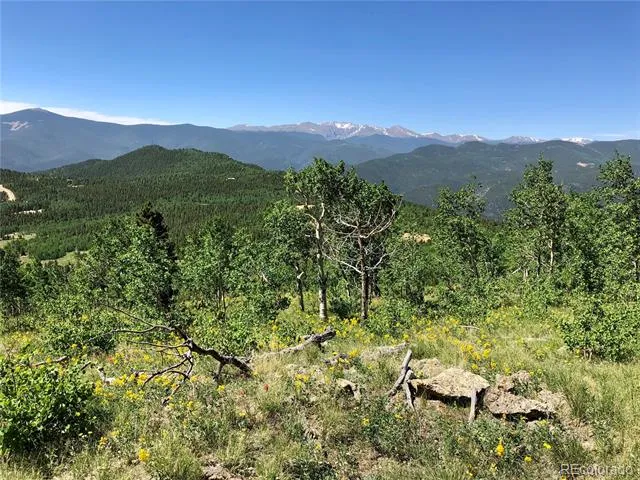 01 Alps Hill Road Central City, CO 80427