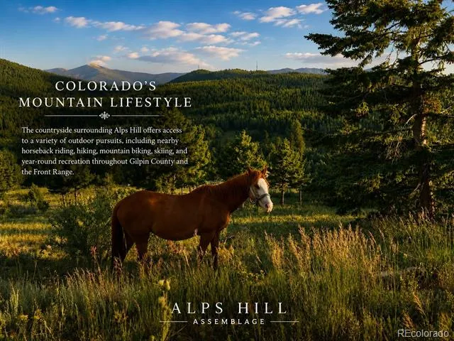 01 Alps Hill Road Central City, CO 80427