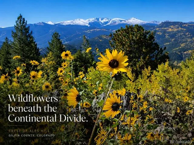 01 Alps Hill Road Central City, CO 80427