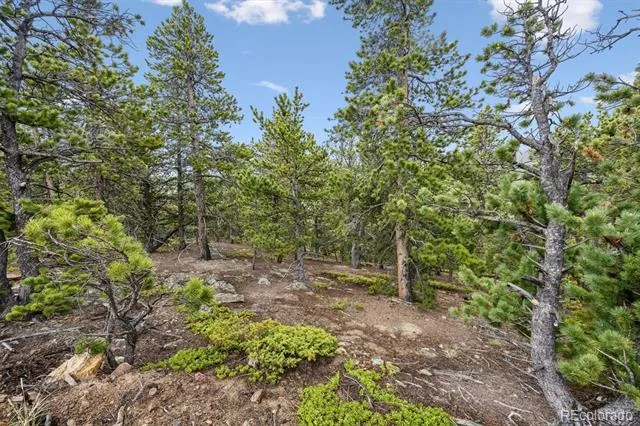 257 Sunny Skies Trail Idaho Springs, CO 80452