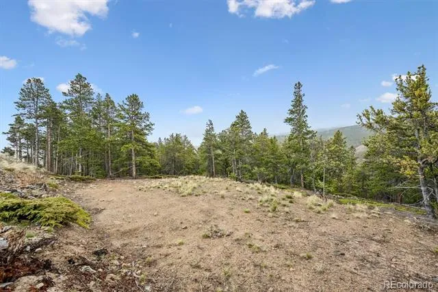 257 Sunny Skies Trail Idaho Springs, CO 80452