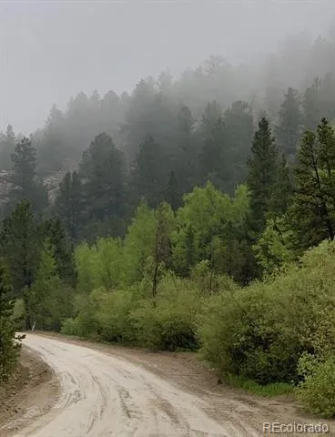 257 Sunny Skies Trail Idaho Springs, CO 80452