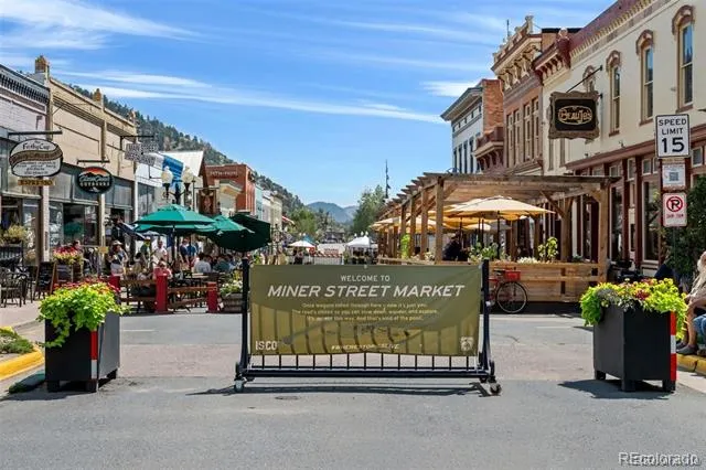 257 Sunny Skies Trail Idaho Springs, CO 80452