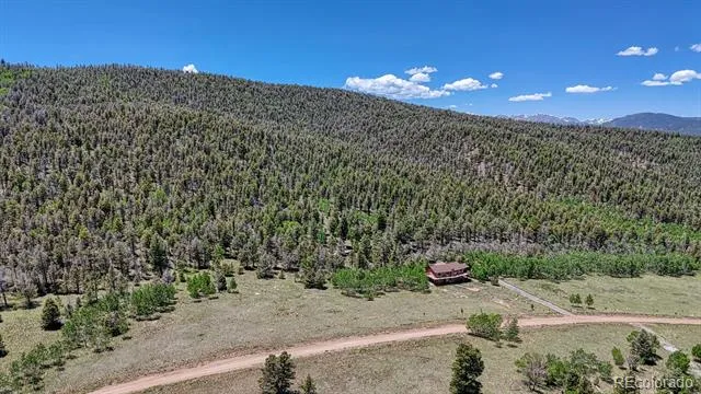441 Kaufman Road Hartsel, CO 80449