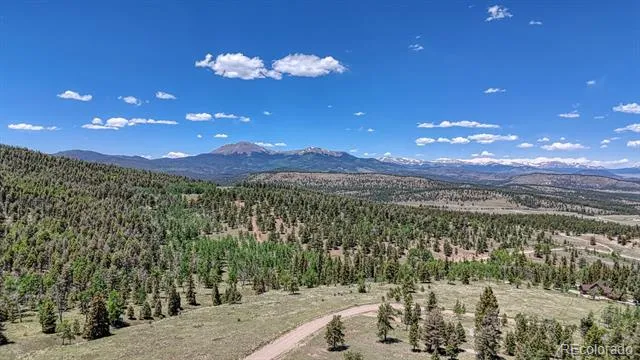 441 Kaufman Road Hartsel, CO 80449