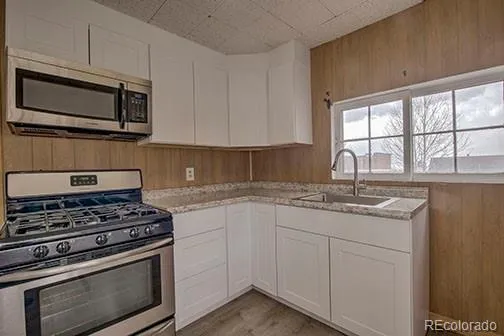 138 E 4th Street Leadville, CO 80461