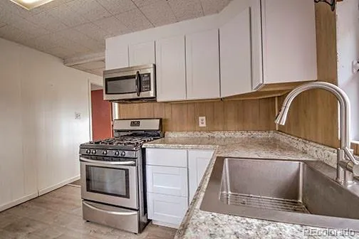 138 E 4th Street Leadville, CO 80461