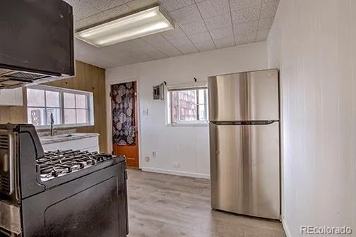 138 E 4th Street Leadville, CO 80461