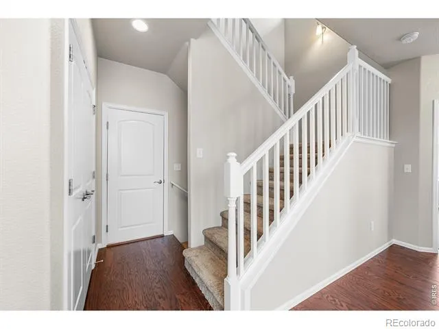 1838 Rise Drive Windsor, CO 80550