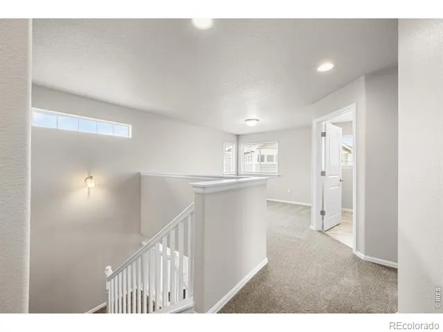 1838 Rise Drive Windsor, CO 80550