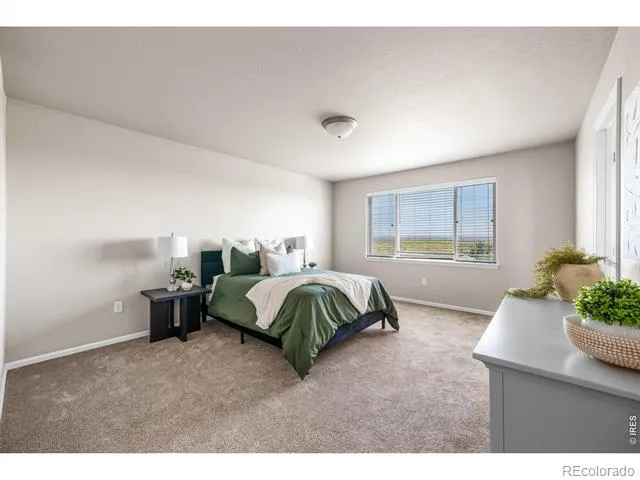 1838 Rise Drive Windsor, CO 80550