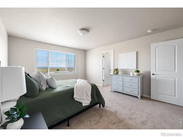 1838 Rise Drive Windsor, CO 80550