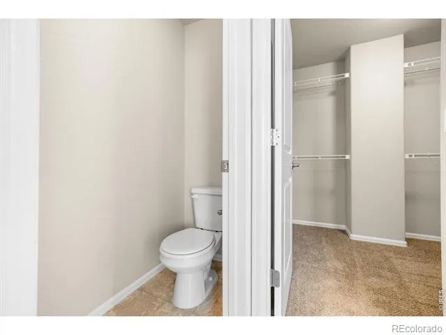 1838 Rise Drive Windsor, CO 80550