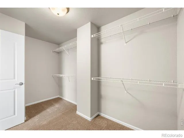 1838 Rise Drive Windsor, CO 80550