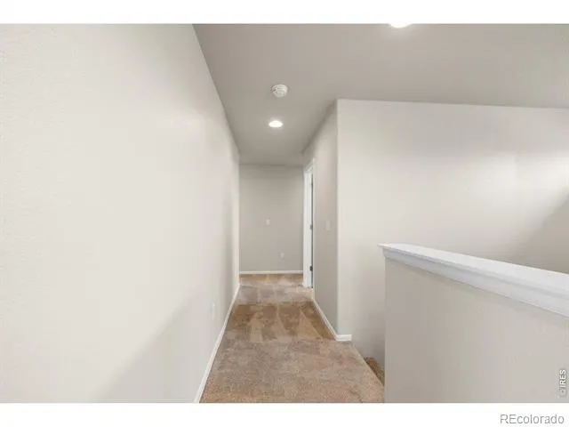 1838 Rise Drive Windsor, CO 80550