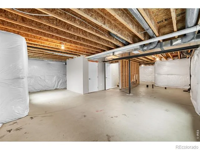 1838 Rise Drive Windsor, CO 80550