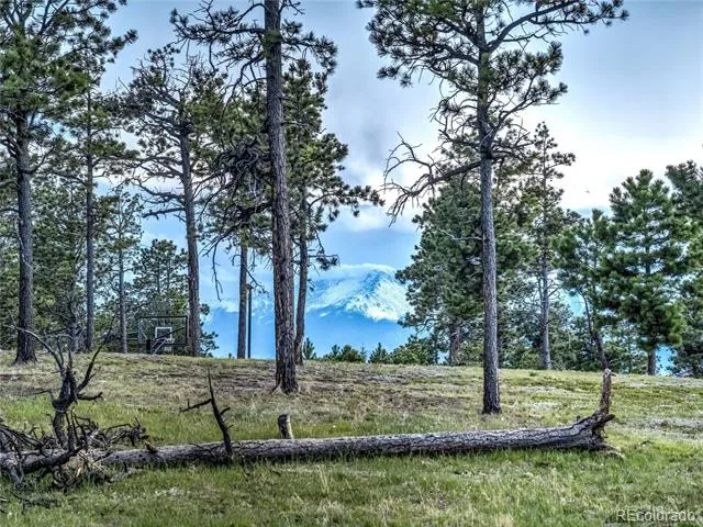 4735 Saxton Hollow Road Colorado Springs, CO 80908