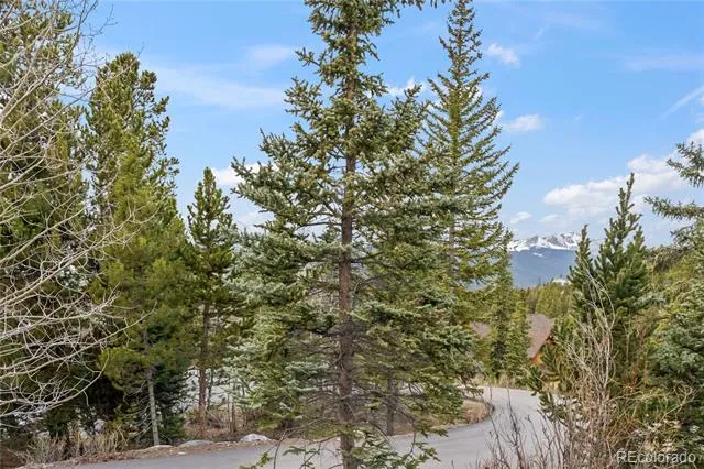 53 Atlantic Lode Road Breckenridge, CO 80424