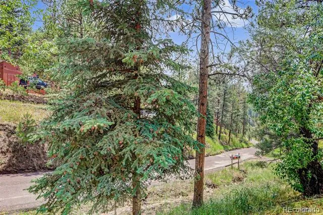 27535 Mountain Park Road Evergreen, CO 80439