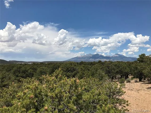 123 Slegers Circle Fort Garland, CO 81133