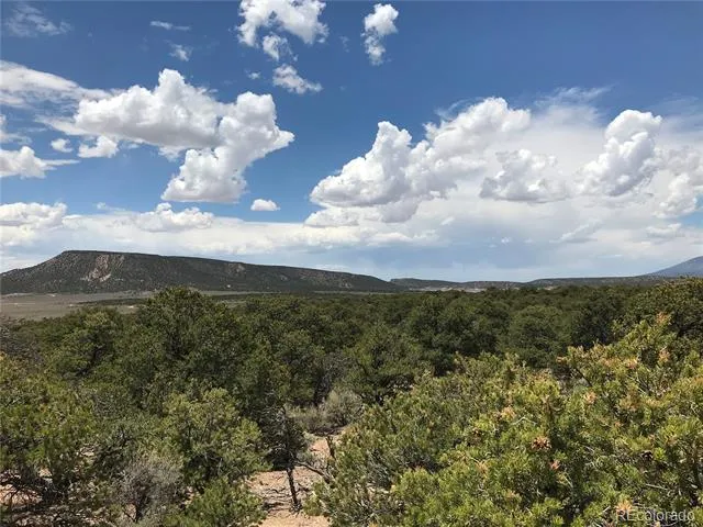 123 Slegers Circle Fort Garland, CO 81133
