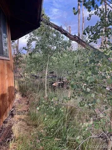 2424 Petito Drive Fort Garland, CO 81133