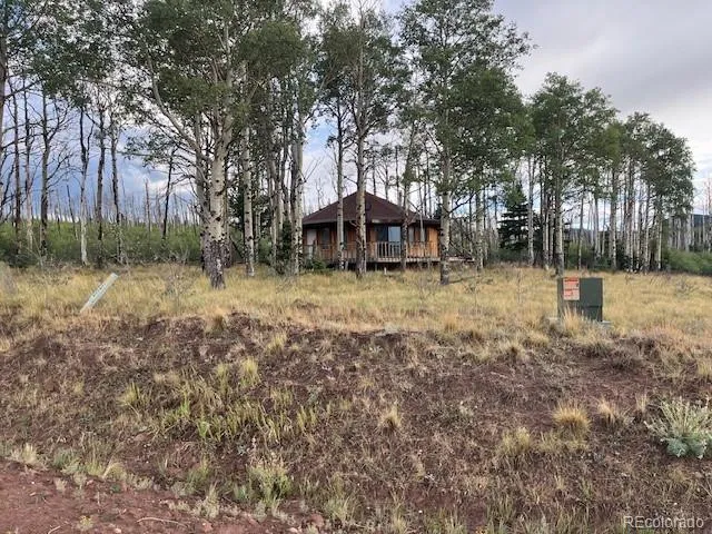 2424 Petito Drive Fort Garland, CO 81133