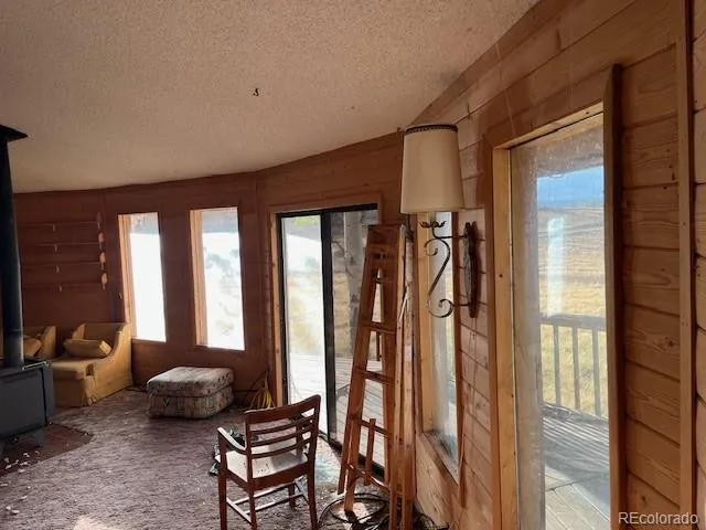 2424 Petito Drive Fort Garland, CO 81133