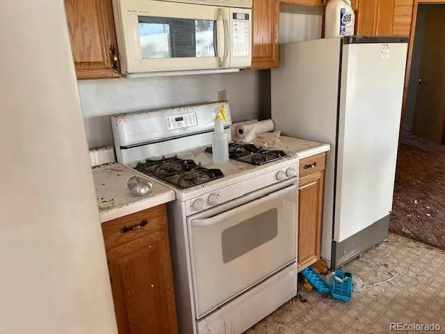 2424 Petito Drive Fort Garland, CO 81133