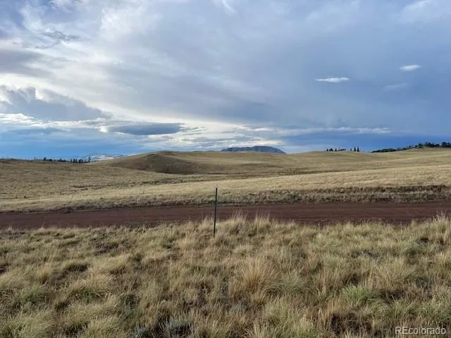 2424 Petito Drive Fort Garland, CO 81133