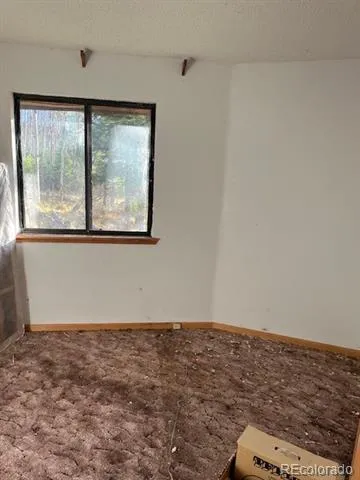 2424 Petito Drive Fort Garland, CO 81133