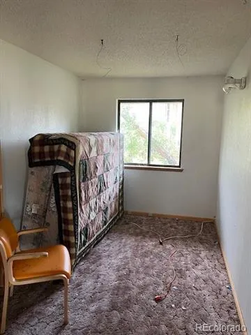 2424 Petito Drive Fort Garland, CO 81133