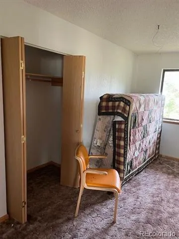 2424 Petito Drive Fort Garland, CO 81133