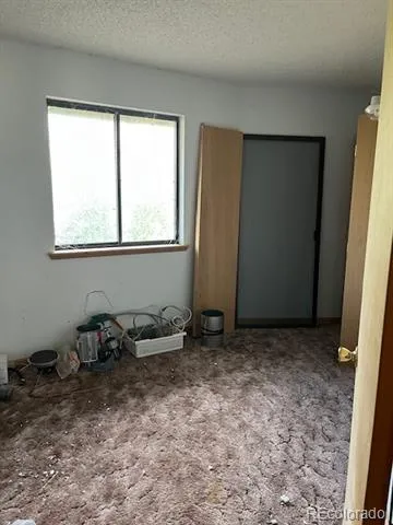 2424 Petito Drive Fort Garland, CO 81133