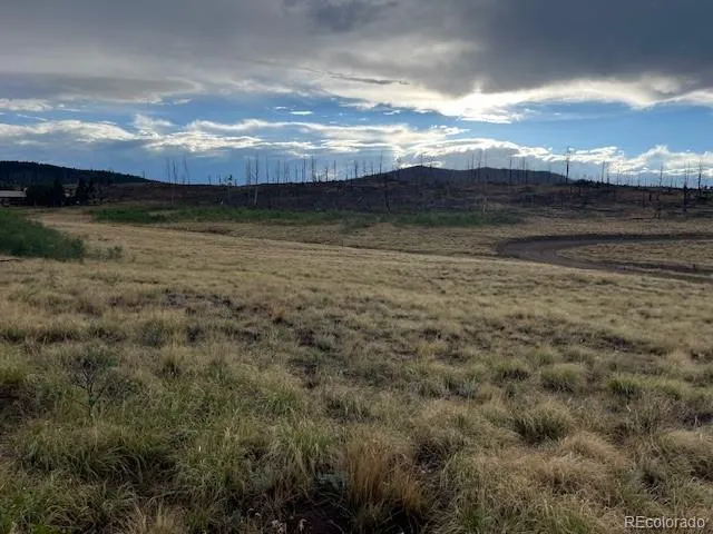 2424 Petito Drive Fort Garland, CO 81133