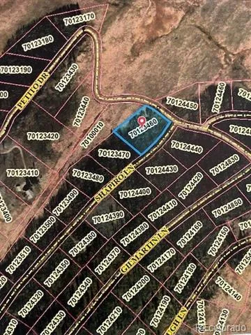 2424 Petito Drive Fort Garland, CO 81133