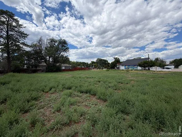 3917 Cleveland Avenue Wellington, CO 80549