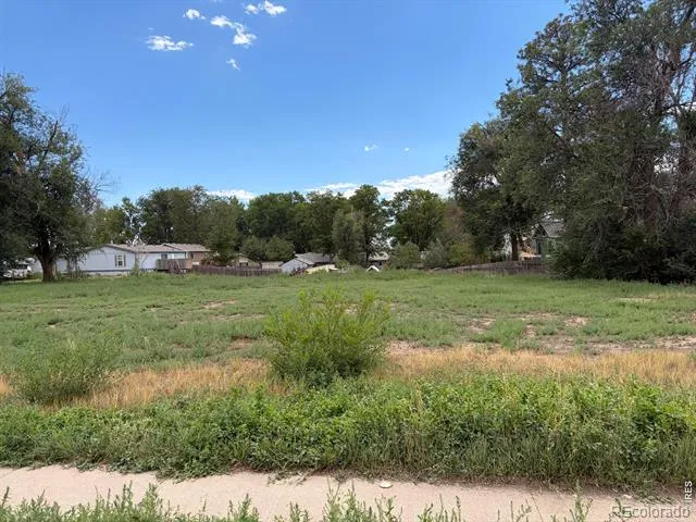 3917 Cleveland Avenue Wellington, CO 80549