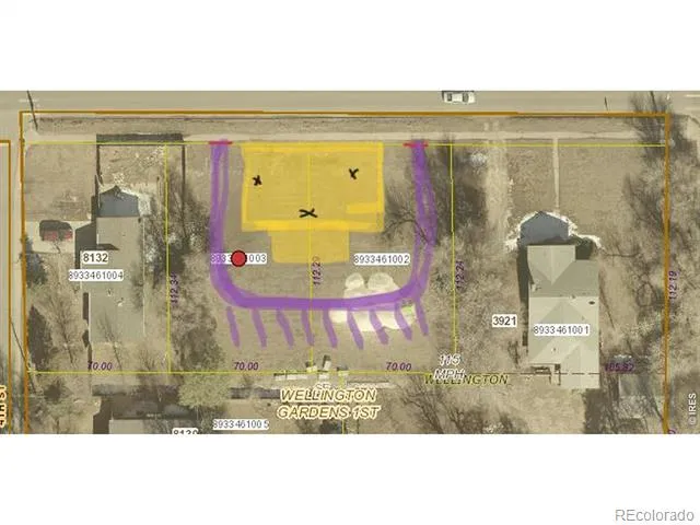 3917 Cleveland Avenue Wellington, CO 80549