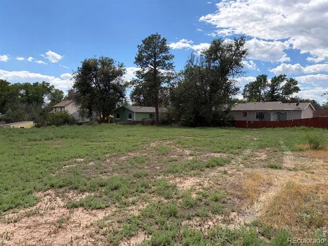 3917 Cleveland Avenue Wellington, CO 80549