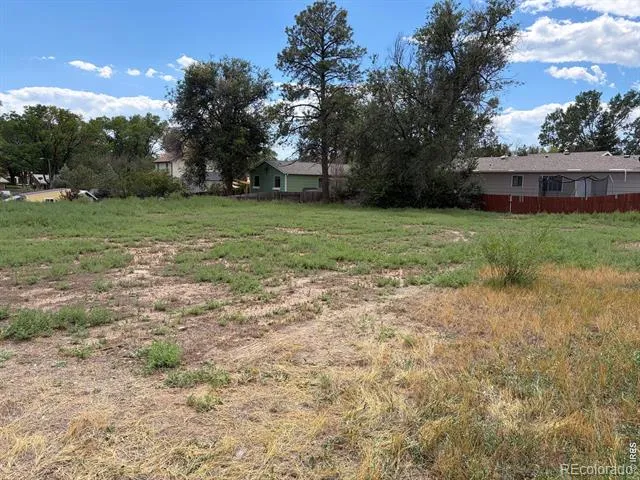 3917 Cleveland Avenue Wellington, CO 80549