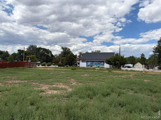 3911 Cleveland Avenue Wellington, CO 80549