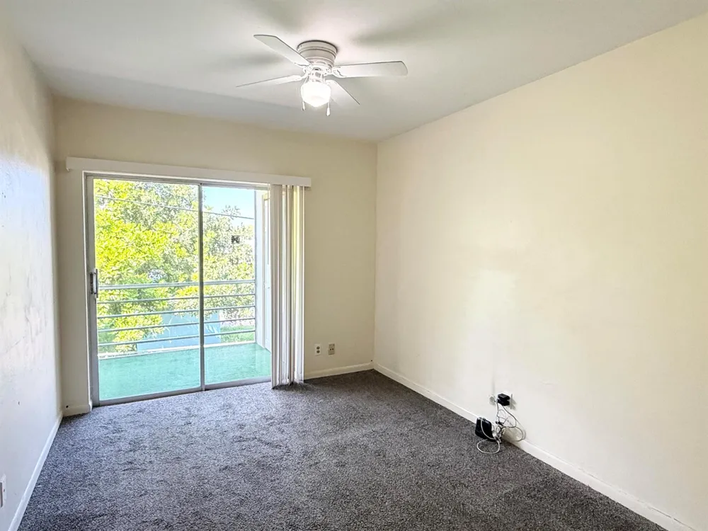 3402 Cynthia Lane #205 