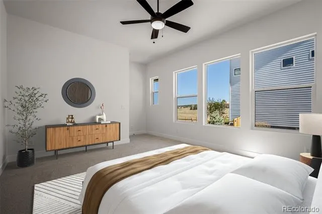 17217 Alsike Clover Court Monument, CO 80132