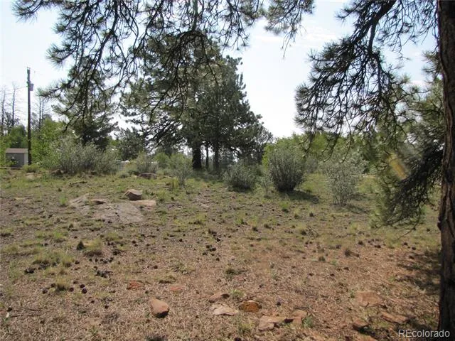 594 Lantern Loop Hartsel, CO 80449