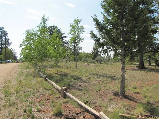 594 Lantern Loop Hartsel, CO 80449