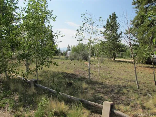 594 Lantern Loop Hartsel, CO 80449