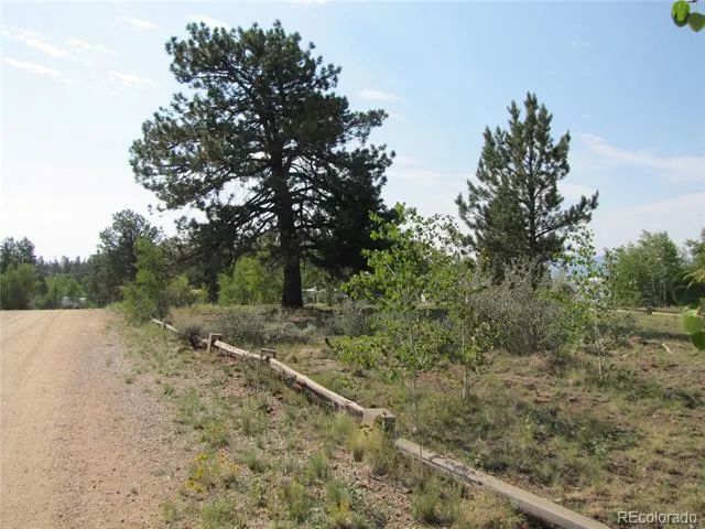 594 Lantern Loop Hartsel, CO 80449