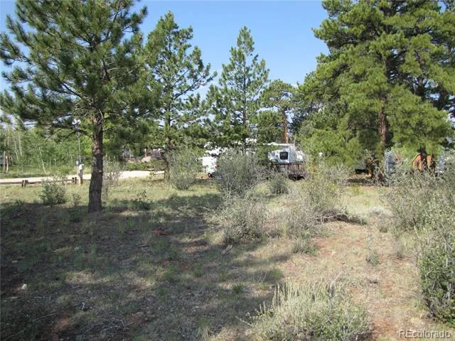 594 Lantern Loop Hartsel, CO 80449